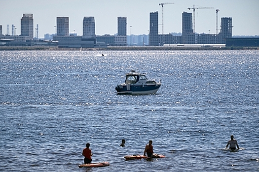 На пляже в парке Петербурга утонул российский школьник