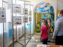 Просветительская выставка "Рыбное богатство Волги" открылась в Кинельском районе