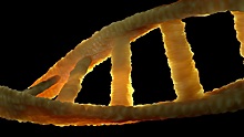 Эксперт: расшифровка генома человека предоставила медицине беспрецедентные возможности
