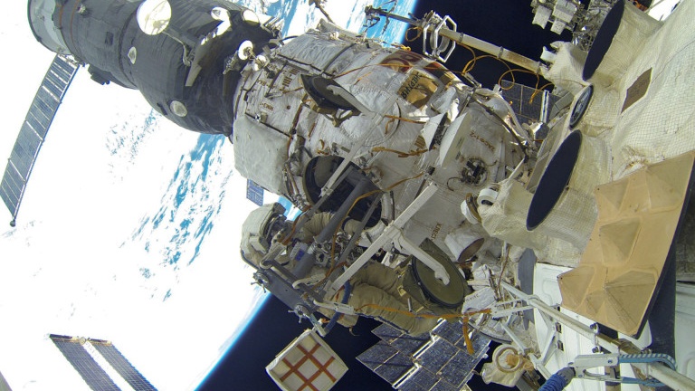 Китайские ученые вывели бабочку в космосе