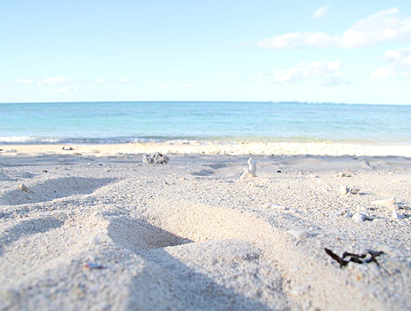 На Васильевском острове создадут новый намыв под застройку