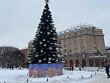 Новогодние елки на улицах Петербурга простоят до 14 февраля