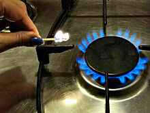 Тарифами на ремонт газового оборудования займется Минэнерго