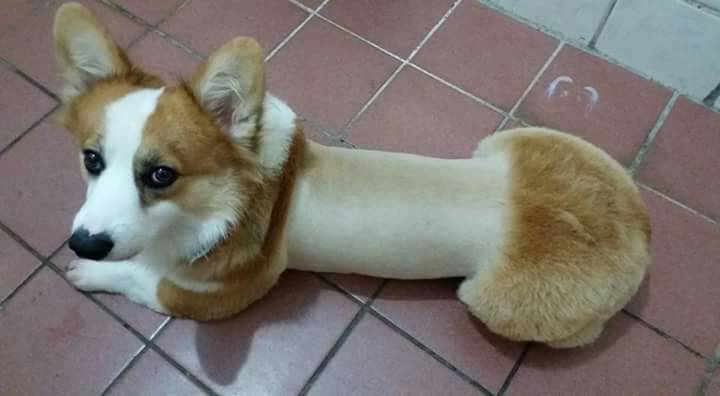 8ca81e0fca5d4c60be7e832be4f4e1c8