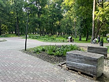 Стартовало благоустройство парка Кулибина в Нижнем Новгороде