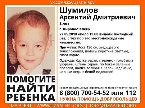 В Кирово-Чепецке разыскивают 8-летнего мальчика