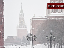 Синоптик рассказал о погоде в Москве 23 февраля