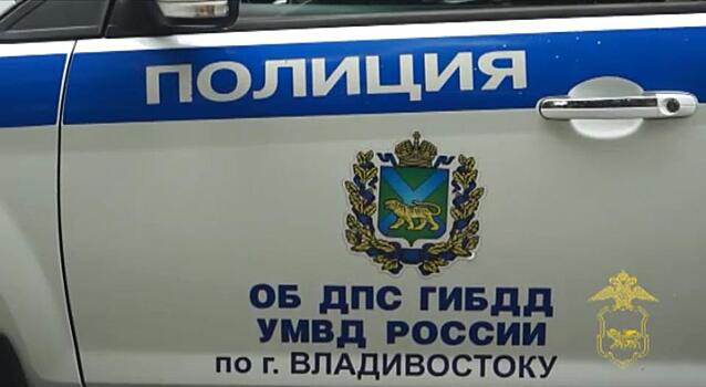 Во Владивостоке арестовали узбека, который ударил по руке сотрудника ДПС