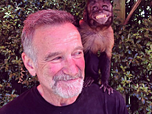 Последние фото знаменитостей перед смертью