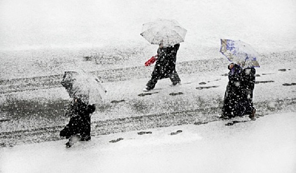 Российские дороги захотели подогревать