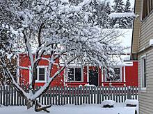 Дачников предупредили о популярных схемах обмана