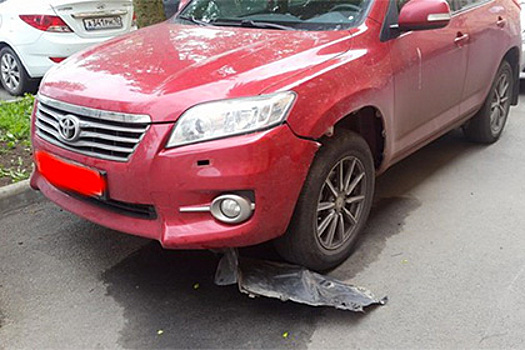 Мэрия Петрозаводска заплатит за поврежденный бродячими собаками внедорожник