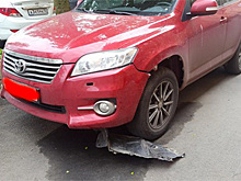 Мэрия Петрозаводска заплатит за поврежденный бродячими собаками внедорожник