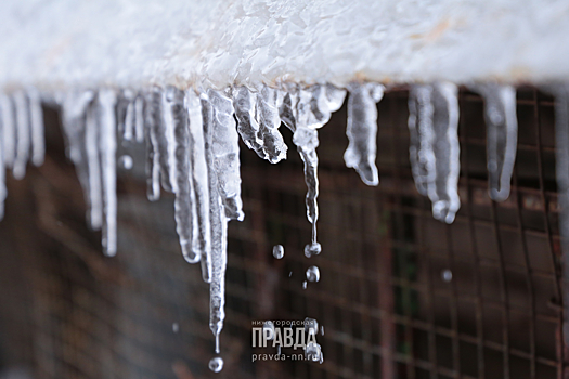 Синоптики рассказали, почему в Нижегородскую область никак не придут морозы