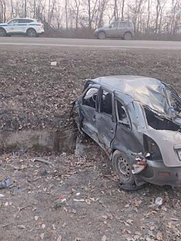 В Ростовской области водитель &laquo;Лады Калины&raquo; съехала в кювет и была госпитализирована