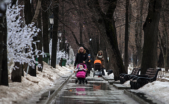 Москвичам пообещали тепло не по сезону