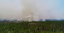 Дым от торфяников в заповеднике Мордовии наблюдают в нижегородском Сарове