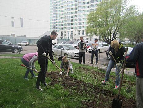 Молодые кустарники украсили семь дворов в Ховрине