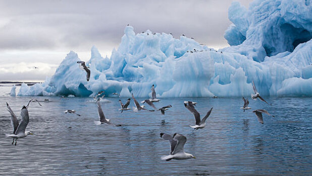Температура в Арктике доказывает глобальные изменения климата