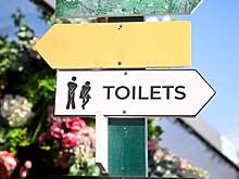 Варламов восхитился туалетом в одной стране и назвал его достопримечательностью