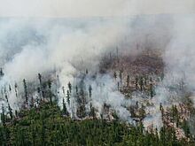 Глава МЧС: С начала года в стране возникло около 4 тыс очагов лесных пожаров