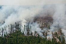 Глава МЧС: С начала года в стране возникло около 4 тыс очагов лесных пожаров