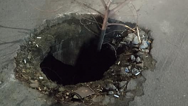 Саратовцы: Из открытого люка в Елшанке «выросло дерево»