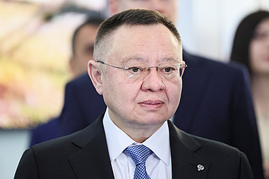 Файзуллин исполнил новогоднее желание девочки из Москвы