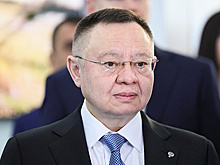 Файзуллин исполнил новогоднее желание девочки из Москвы