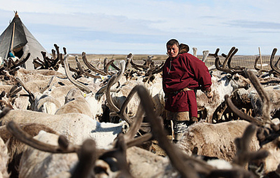 Книги по искусству коренных малочисленных народов Севера оцифруют в 2026 году