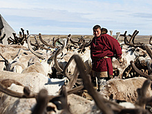 Книги по искусству коренных малочисленных народов Севера оцифруют в 2026 году