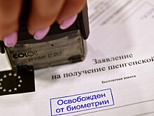 В Нидерландах прокомментировали решение ЕС о мультивизах для россиян