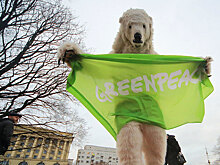 В РФ предложили признать иноагентами Greenpeace и WWF