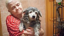 Приютившая 80 животных бабушка-волонтер в Йошкар-Оле мечтает о помощнике и вольере для питомцев