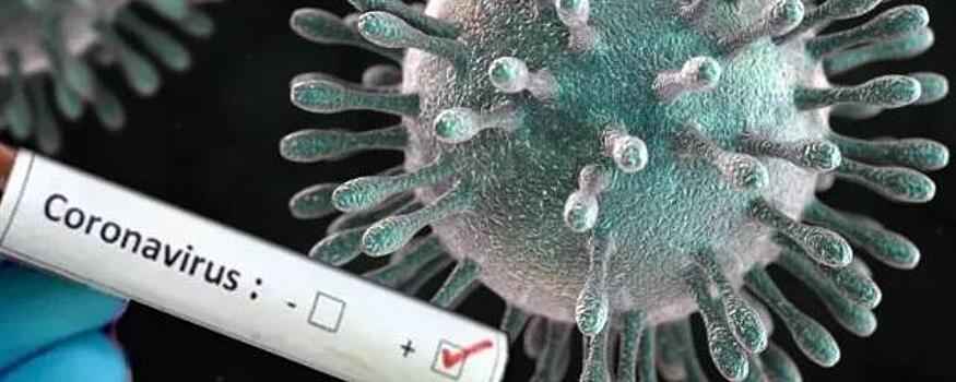 В Ярославской области выявили 115 новых случае коронавируса 25 марта