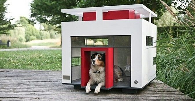 10 фотографий креативных собачьих будок