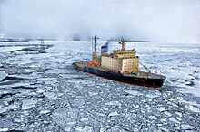 Исторический музей пригласил на лекции о «Русской Антарктиде»