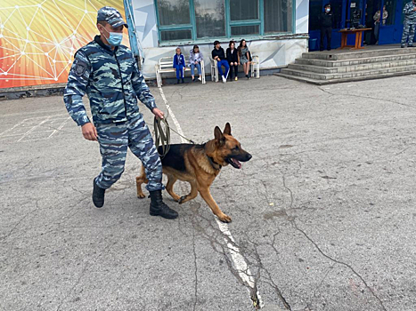 Мошенник из Новосибирска обманным путём получил миллион рублей и срок