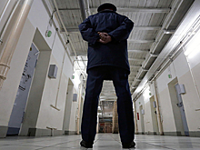 Надругавшемуся над российскими школьницами педофилу вынесли приговор