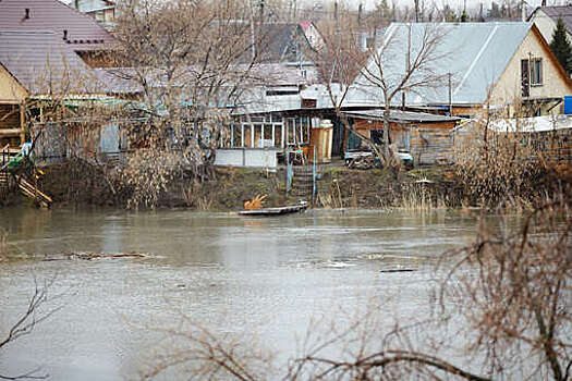 Власти Курганской области: почти 13 тысяч человек эвакуированы из-за паводка