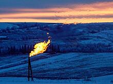 Турецкая Palmali подала иск в суд на нефтетрейдера "Лукойла"