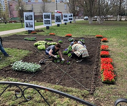 Более 4 тысяч цветов появились на площади Жукова