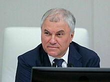 Володин предложил коллегам поздравить Терешкову с годовщиной полета в космос