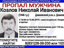71-летний Николай Козлов пропал в Дивеево