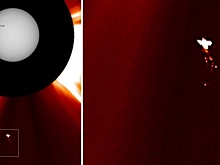 Тайна «космической птицы» у Солнца: что за объект запечатлели ученые?