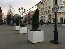 В Челябинске контракты на озеленение выполнены на 85 процентов