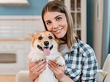 Не лают, не линяют и любят детей: топ-10 собак для квартиры