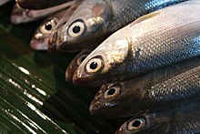 Росрыболовство не рассматривает госрегулирование цен на рыбную продукцию
