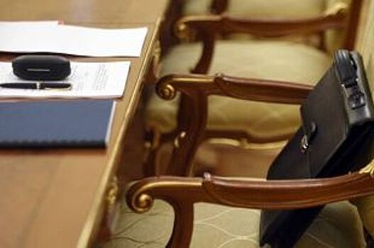 Вице-губернатор обсудил развитие парламентаризма с российским политологом