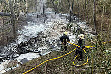 В Ивано-Франковской области Украины возник пожар из-за прорыва нефтепровода